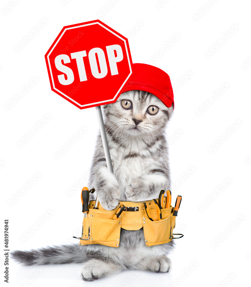 Poster funny kitten wearing red cap and tool belt showing stop sign. isolated on white background