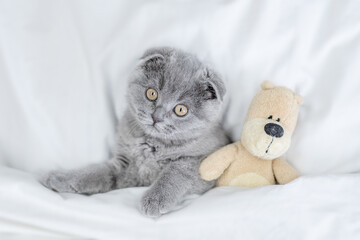 Cute kitten lying with favorite toy bear under white warm blanket on a bed at home.Top down view