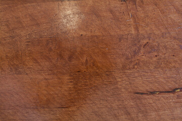Texture of bark wood use as natural background.
