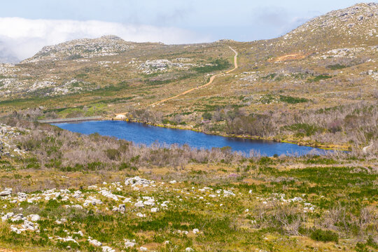 Fynbos Landscape with Dam in the Silvermine Nature Reserve south of Cape Town, Western Cape of South Africa