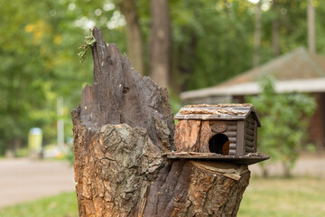 wooden bird house
