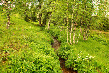 ROMANTISCHER BACHLAUF