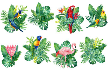 Set Tropical birds, flowers and palm leaves on white background, watercolor illustration, jungle design