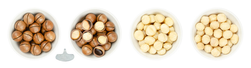 Macadamia nuts, in white bowls. Dried fruits with sawn nutshells, opened with the opener key, shelled and raw, and roasted and salted. Also known as Queensland, bush, maroochi, bauple and Hawaii nuts.