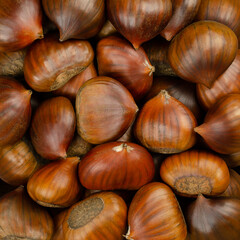 Chestnuts, surface and background. Edible nuts of sweet chestnut, Castanea sativa. They can be eaten raw, candied, cooked or milled into flour, or they get roasted and sold as warm snack on streets.