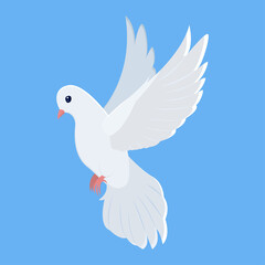 Flying white dove