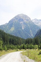 Fototapeta premium Koetschachtal valley in Gasteinertal, Austria 