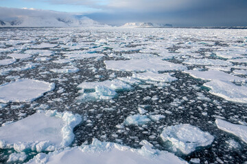 Fototapeta na wymiar Sea ice in the North Atlantic Ocean off the northeast coast of Greenland.