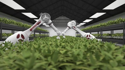 Automated planting process using advanced robot for planting leaves in trays. Agriculture with artificial intelligence.