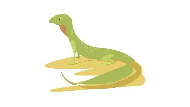 Curious lizard icon animation best cartoon object on white background