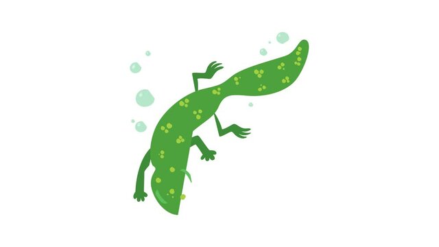 Swimming lizard icon animation best cartoon object on white background