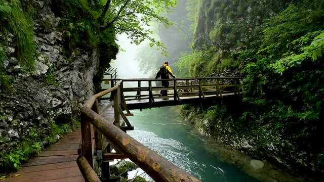 Man in yellow coat crossing a bridge at the hiking trail above clear river in the Vintgar Gorge in Slovenia
