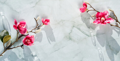 Banner with magnolia twigs on neutral stone background. Spring decor, simple, minimal panoramic flat lay. Sunlight with long shadows. Copy-space, place for text on mint green.