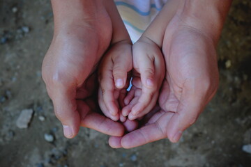 Adult and child hands together. Help, kindness, charity, family security, protection and parent protecting child concept.