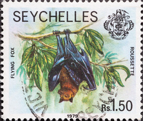 Seychelles - circa 1979 : a postage stamp from Seychelles shows a flying fox hanging upside down in...