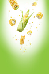 natural yellow sweetcorn  pieces and cloves flying on air.Background for packaging and label design