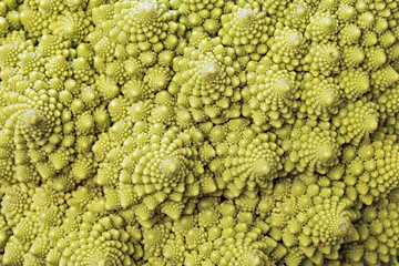 detail of a roman cauliflower