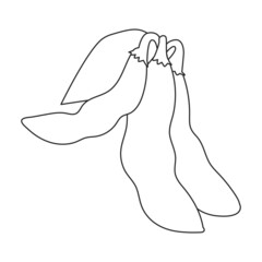 Soybean vector icon.Outline vector icon isolated on white background soybean.