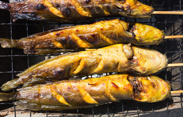 Catfish Grill On charcoal grill(Thai Food)