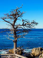 California Shore near Camel-by-the-Sea, California USA