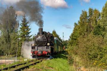 Fast arrow-gauge steam train for rail enthusiasts with a lot of steam and smoke.