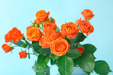 Bouquet of beautiful orange roses on blue background
