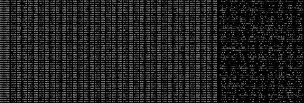 Hex dump with ascii wallpaper black and white