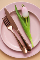 Stylish table setting on beige background