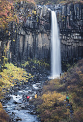 Svartifoss waterfall silk water in Skaftafell national park in Iceland with tourists