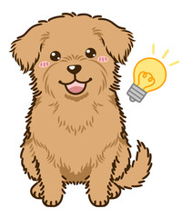 思い付くノーフォークテリア