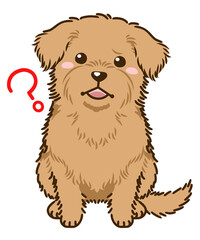 疑問に思うノーフォークテリア