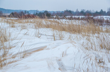Sandy dunes covered by snow by  the Baltic sea in foggy winter afternoon. Yellow and red grass and bushes