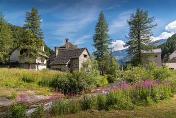 Typical stone house at Alpe Devero, Piedmont with larches and flowers