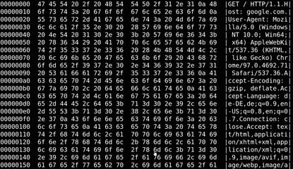 Hex dump of HTTP request black and white