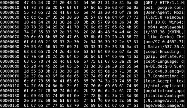Hex dump of HTTP request black and white - Powered by Adobe