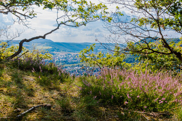 Wanderung durch Bad Kreuznach mit seinen Salinen, Heilquellen und Berglandschaft