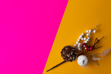 sprig with cone and berries on a bright background