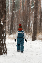 Fototapeta na wymiar Back view Boy in winter clothes walks through snow-kept forest. Child in winter on the street. Vertical frame