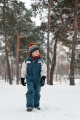 Funny child stands in snowy forest and looks into distance. Boy stands against of beautiful winter landscape