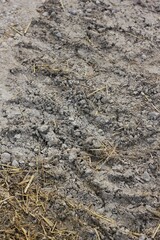 close up of soil
