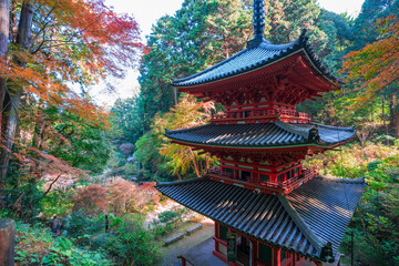 Fototapeta premium 京都 岩船寺（がんせんじ）の三重塔と紅葉