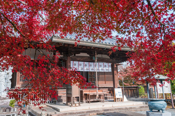 京都　乙訓寺（おとくにでら）の本堂と紅葉