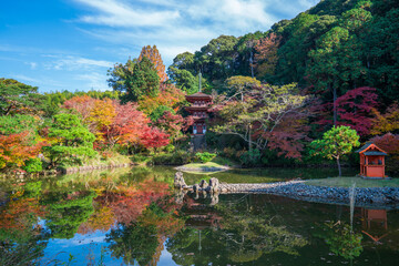 Fototapeta na wymiar 京都　浄瑠璃寺（じょうるりじ）の三重塔と紅葉