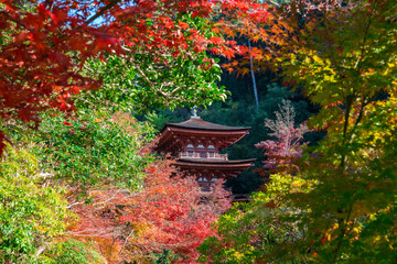 京都　浄瑠璃寺（じょうるりじ）の三重塔と紅葉