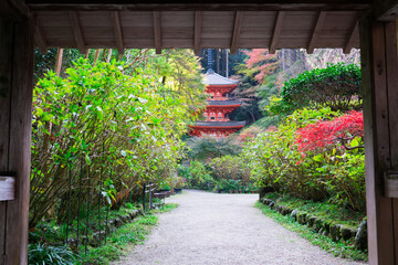 京都　岩船寺（がんせんじ）　山門から見る三重塔