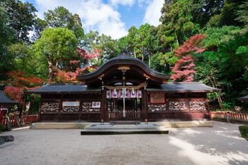 京都　鷺森神社（さぎのもりじんじゃ）の本殿と紅葉　