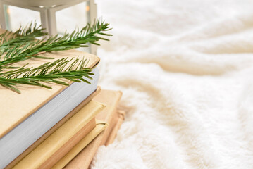 Stack of books and fir tree branch on fluffy plaid, closeup