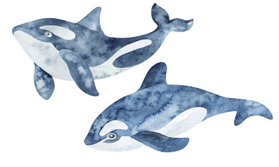 Watercolor illustration. Childish illustration of cute north pole animals. Wild animals and birds of the Arctic. For the design of holiday cards, birthday, sublimation, children's design, stickers.