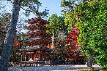 京都　海住山寺（かいじゅうせんじ）の五重塔と紅葉