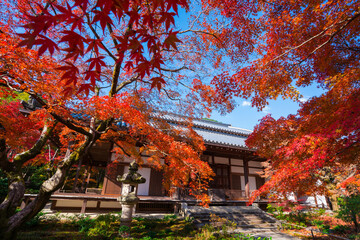 京都　嵯峨野　常寂光寺（じょうじゃっこうじ）の本堂と紅葉